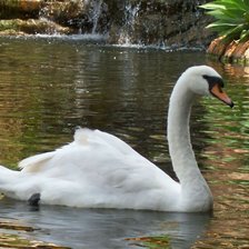 Cross stitch pattern: #1020126