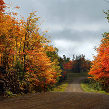 Cross stitch pattern: #1020214