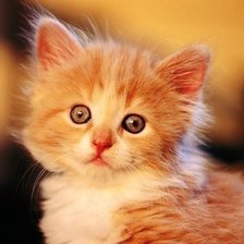 Cross stitch pattern: #1020218