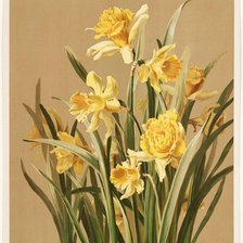 Cross stitch pattern: #1020652