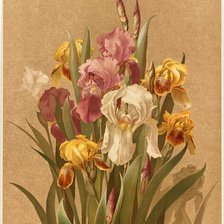 Cross stitch pattern: #1020654