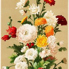 Cross stitch pattern: #1020657