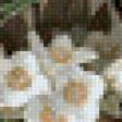 Preview of cross stitch pattern: #1020663