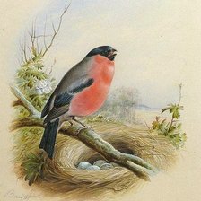 Cross stitch pattern: #1020666