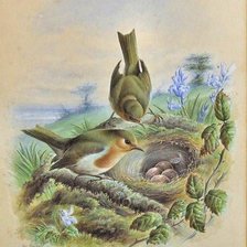 Cross stitch pattern: #1020667