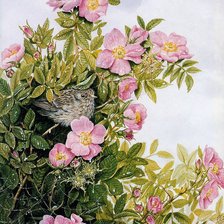 Cross stitch pattern: #1020675