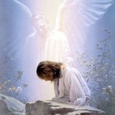 Cross stitch pattern: #1023005