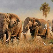 Cross stitch pattern: #1023015