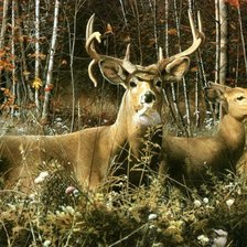 Cross stitch pattern: #1023052