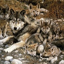 Cross stitch pattern: #1023067