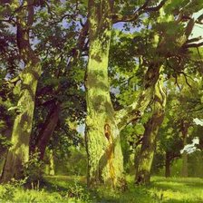 Cross stitch pattern: #1025498