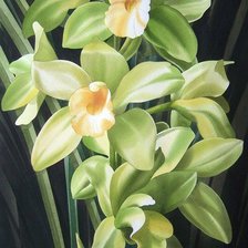 Cross stitch pattern: #1025920