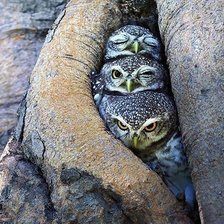 Cross stitch pattern: #1026061