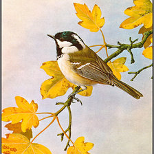 Cross stitch pattern: #1026456