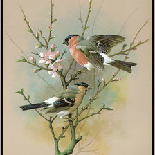 Cross stitch pattern: #1026460