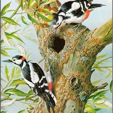 Cross stitch pattern: #1026469