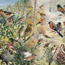 Cross stitch pattern: #1027015