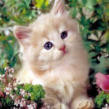 Cross stitch pattern: #1027528