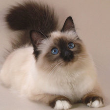 Cross stitch pattern: #1027531