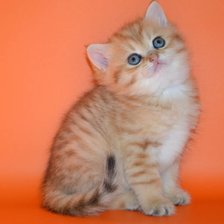 Cross stitch pattern: #1027536