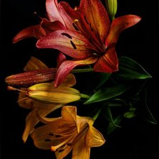 Cross stitch pattern: #1028595