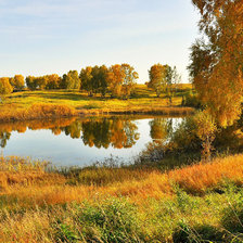 Cross stitch pattern: #1029186