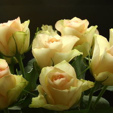 Cross stitch pattern: #1029557