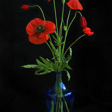 Cross stitch pattern: #1031011