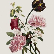 Cross stitch pattern: #1031701