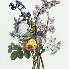 Cross stitch pattern: #1031703