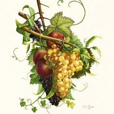 Cross stitch pattern: #1031853