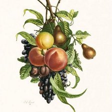 Cross stitch pattern: #1031855