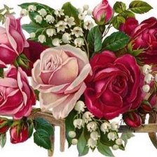 Cross stitch pattern: #1032600