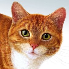 Cross stitch pattern: #1033464