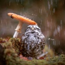 Cross stitch pattern: #1034606
