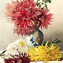 Cross stitch pattern: #1034648