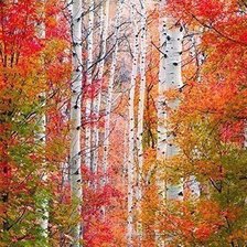 Cross stitch pattern: #1035232