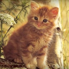 Cross stitch pattern: #1035712