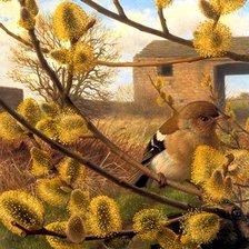 Cross stitch pattern: #1036129