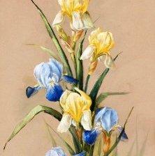 Cross stitch pattern: #1037327