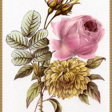 Cross stitch pattern: #1037340
