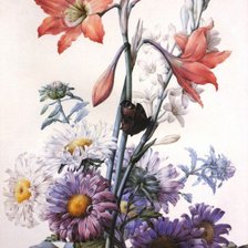 Cross stitch pattern: #1037409