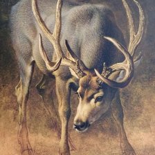 Cross stitch pattern: #1038865