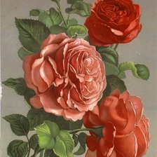 Cross stitch pattern: #1042472