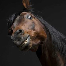 Cross stitch pattern: #1047546