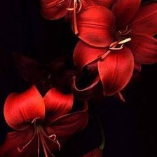 Cross stitch pattern: #1052745