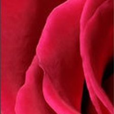 Cross stitch pattern: #1055577