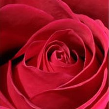 Cross stitch pattern: #1055579