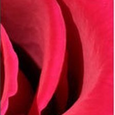 Cross stitch pattern: #1055581