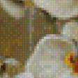 Preview of cross stitch pattern: #1057563